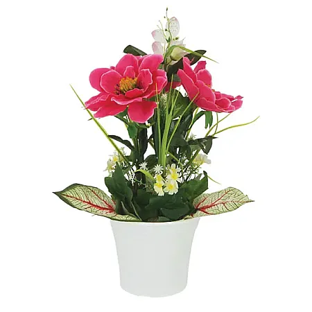 images/uploads/8802/thumb_1-350-C 2022.webp